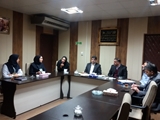 کمیته تیم اجرایی