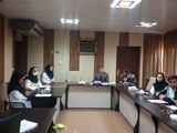 تیم مدیریت اجرایی