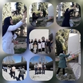 مسابقه ورزشی