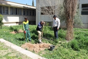 زندگی، ما در گرو گیاهان است، بیایید ادای دین کنیم.