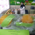 روز رژیم درمانی